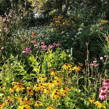 Gartenhaus Frieda Galmsbull Kültér fotó