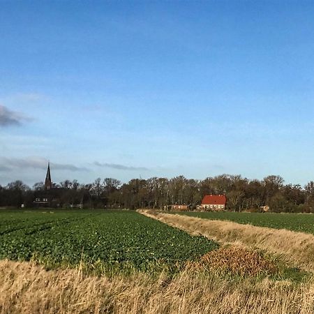 Gartenhaus Frieda Galmsbull Kültér fotó