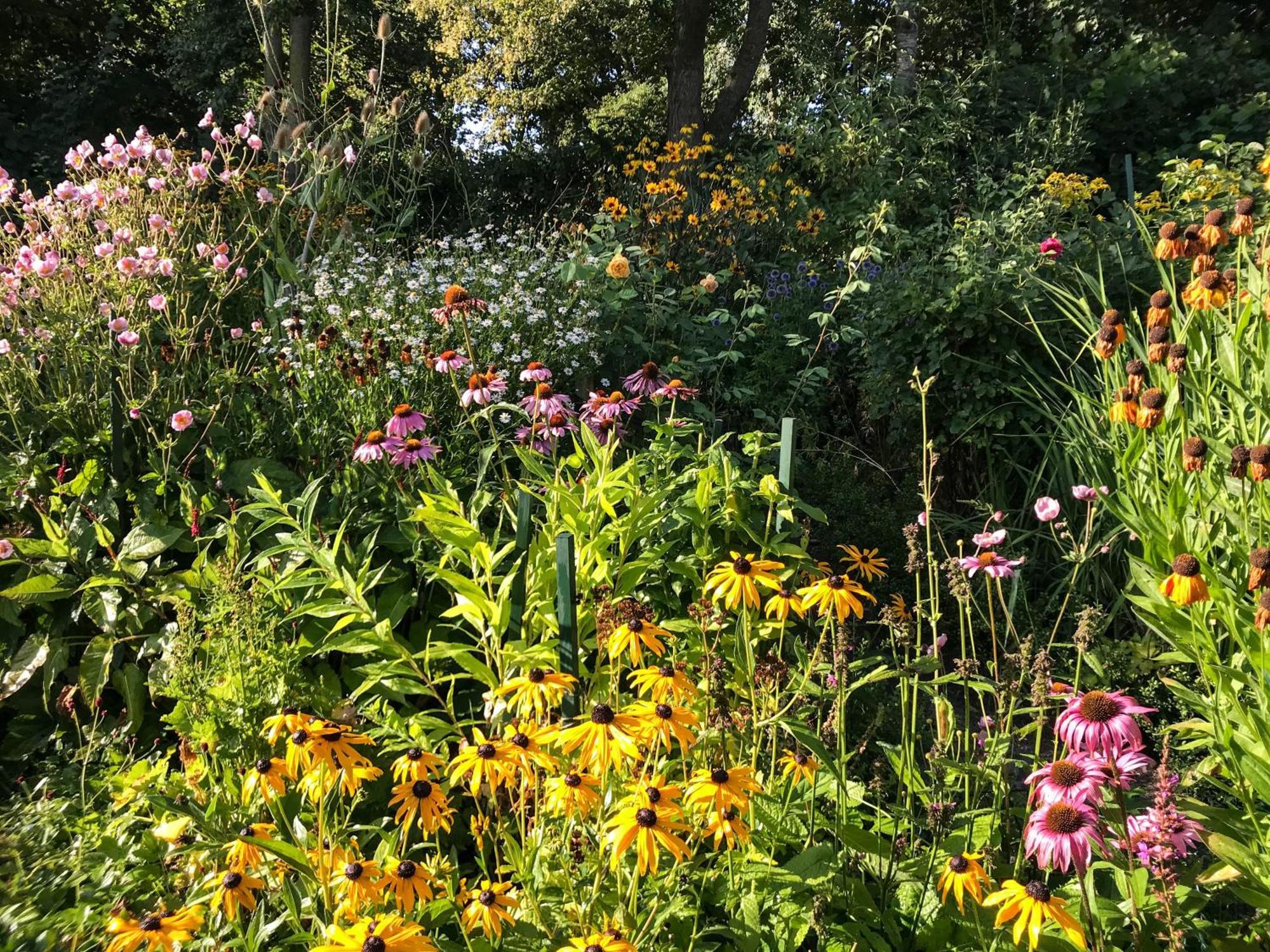 Gartenhaus Frieda Galmsbull Kültér fotó