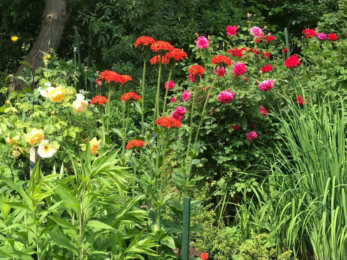 Gartenhaus Frieda Galmsbull Kültér fotó